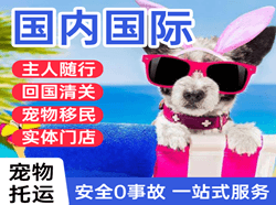 白云航空货运国际宠物托运 【国